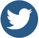 iconsImg