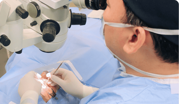 corneal transplant